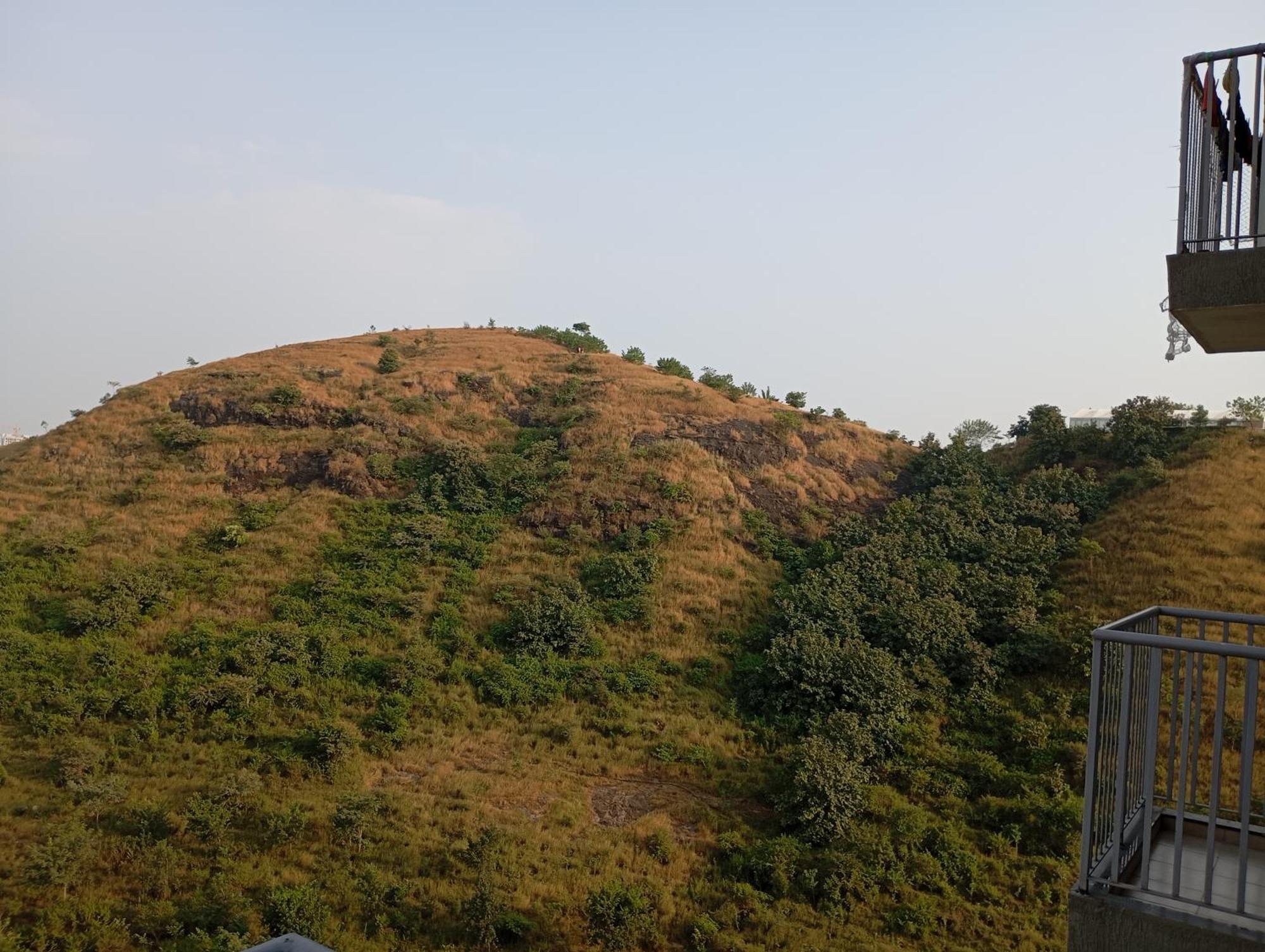 1bhk At Hillside Mahalunge
